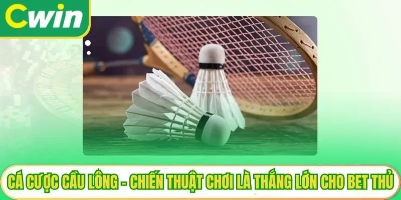 Cá Cược Cầu Lông – Chiến Thuật Chơi Là Thắng Lớn Cho Bet Thủ