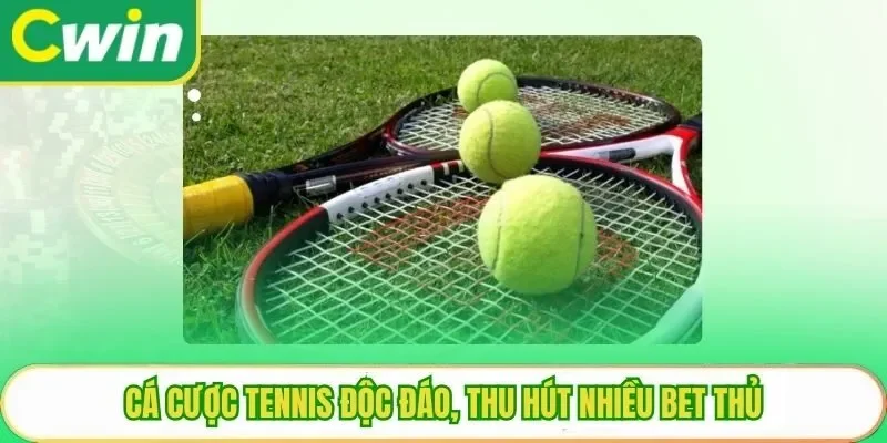 Cá cược tennis độc đáo, thu hút nhiều bet thủ