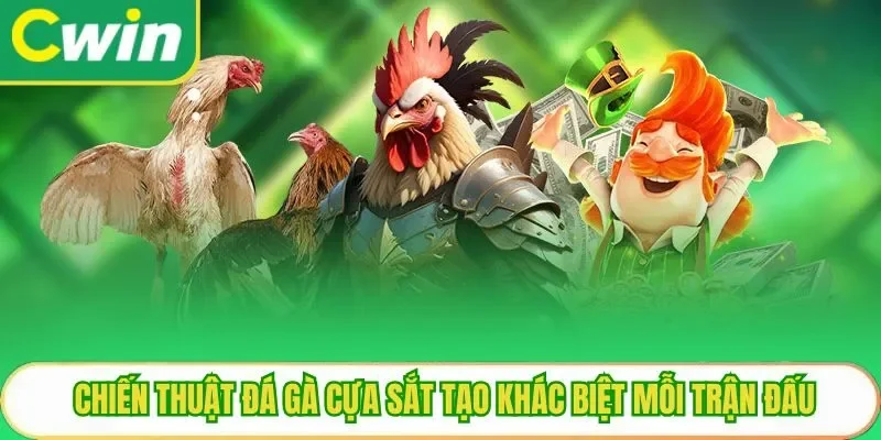 Chiến thuật đá gà cựa sắt tạo khác biệt mỗi trận đấu