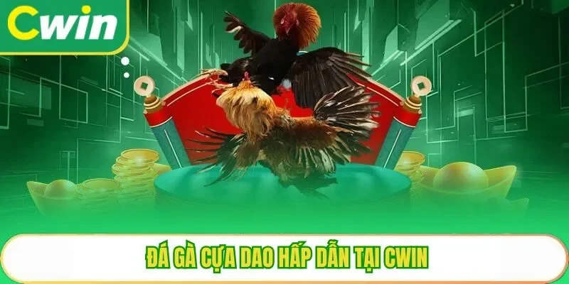 Đá gà cựa dao hấp dẫn tại Cwin