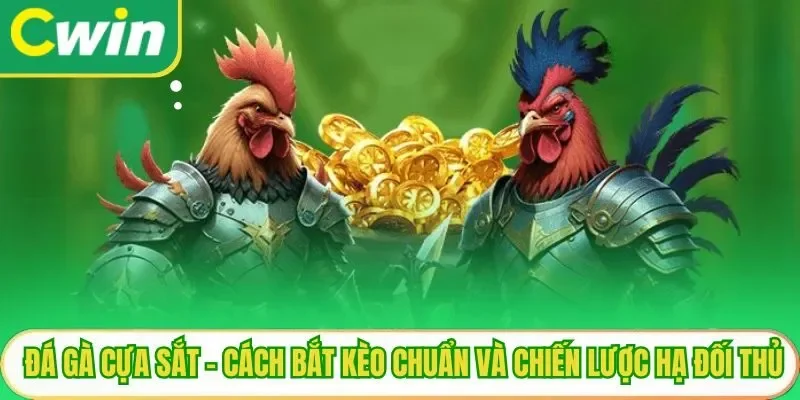 Đá Gà Cựa Sắt - Cách Bắt Kèo Chuẩn Và Chiến Lược Hạ Đối Thủ