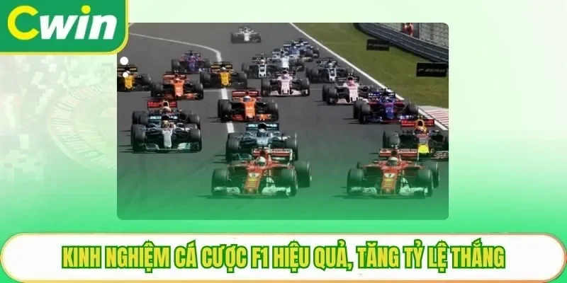 Kinh nghiệm cá cược F1 hiệu quả, tăng tỷ lệ thắng