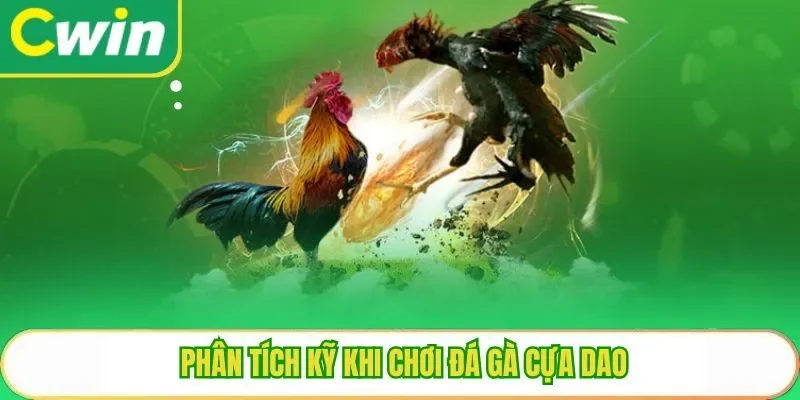 Phân tích kỹ khi chơi đá gà cựa dao